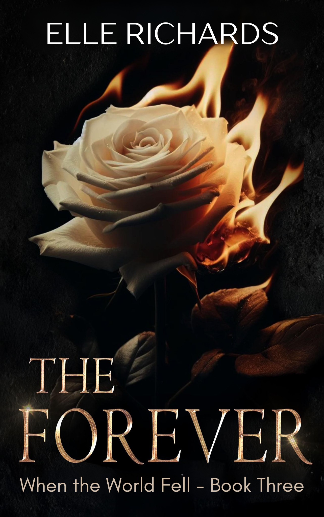 The Forever: A zombie apocalypse romance (When the World Fell #3)