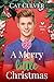 A Merry Little Christmas: An MM Daddy Romance (Boys of Holly Book 1)