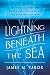 Lightning Beneath the Sea: The Race to Wire the World and the Dawn of the Information Age
