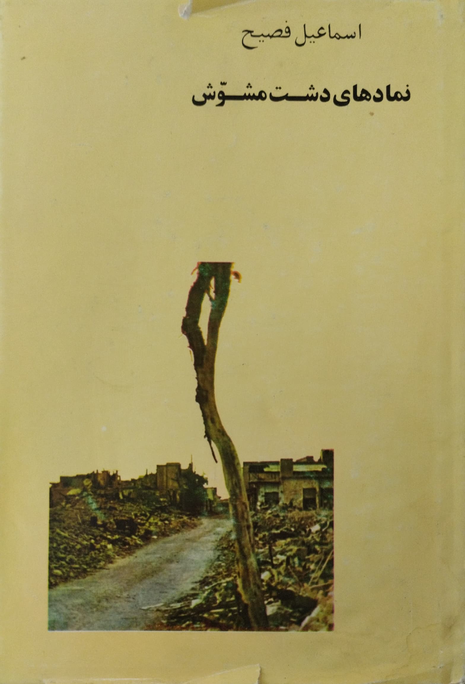 نمادهای دشت مشوش (Paperback)