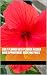 Daily Planner New Planner A...