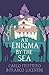 An Enigma by the Sea (Italian Mysteries by Fruttero & Lucentini Book 3)