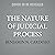 The Nature of Judicial Process