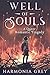Well of Souls by Harmonia Grey