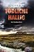 Tödliche Hallig: Ein Nordsee-Krimi (Ein Fall für Theo Krumme 12) (German Edition)