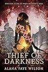Thief of Darkness...