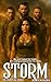 Storm: The Frontline Series - Book Three (The Frontline Press Series 3)