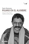 Pájaro en el alambre