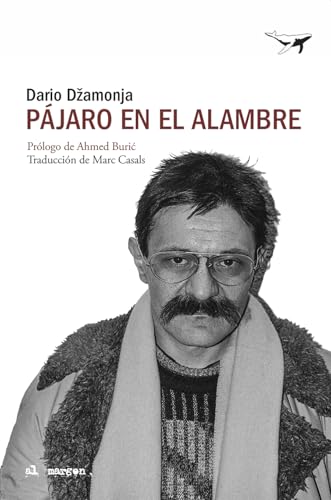 Pájaro en el alambre (Paperback)