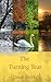 The Turning Year: A year, a...