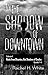 In the Shadow of Downtown 1-6, Roots of Disunion but Shadows of Exodus: a new adult post-apocalyptic dark fantasy serial novel, collection 1