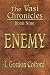 ENEMY: The Vasi Chronicles, Book Nine