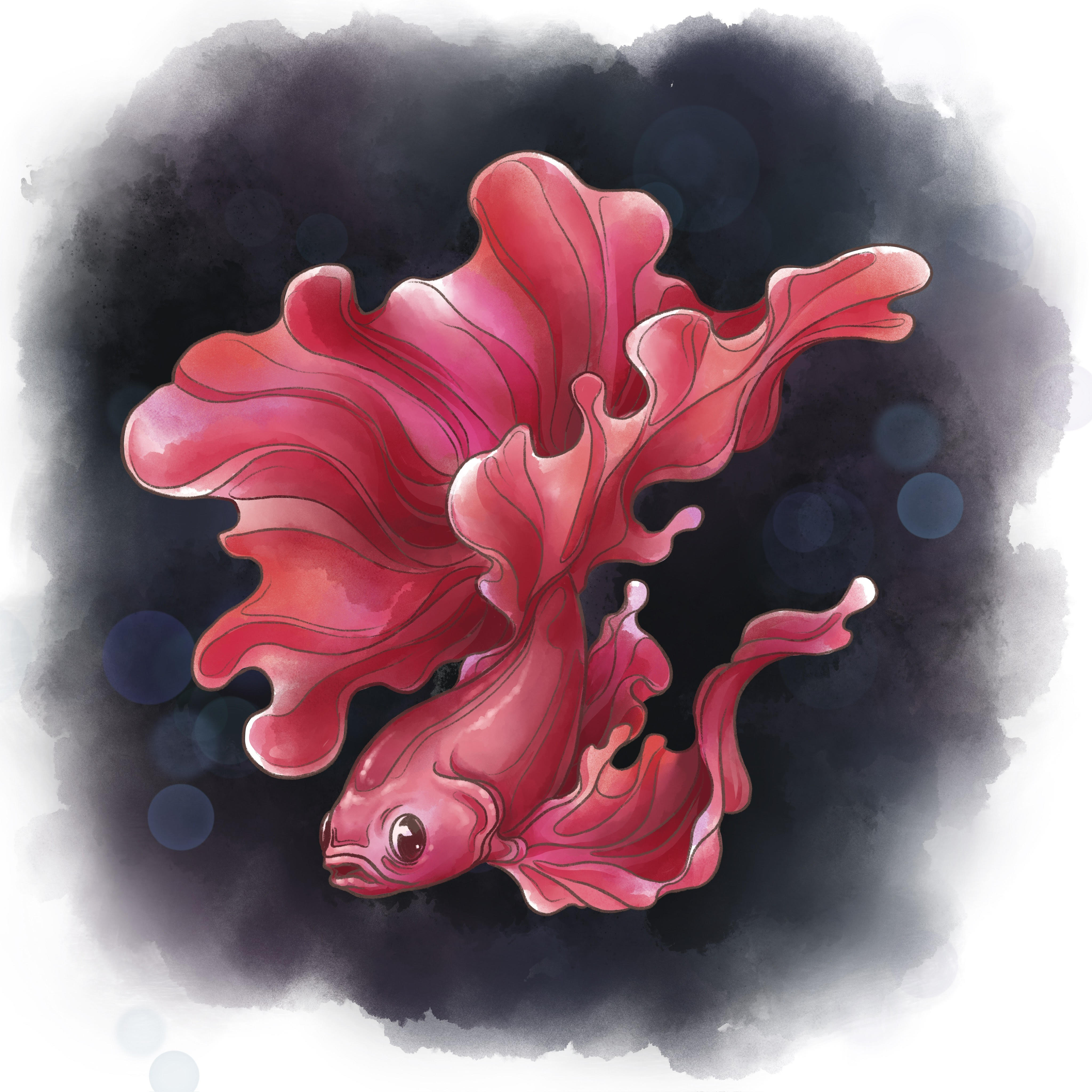 The Abduction of a Betta Fish