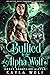 Bullied by the Alpha Wolf (Rocky Mountains Alphas, #2)