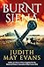 Burnt Siena by Judith May Evans