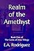 Realm of the Amethyst by E.A. Rodriguez