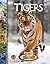 Tigers (Ranger Rick Zoobooks)