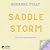 Saddle Storm (Blue River Springs #3)
