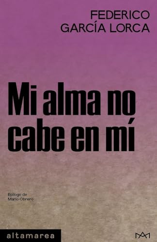 Mi alma no cabe en mí (Paperback)