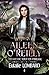 Aileen O'Reilly 1: Druidesse tout en finesse (French Edition)