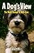 A Dog's View: The World Thr...