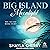 Big Island Moonlight: Big Island, Book 8