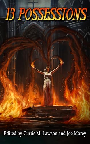 13 Possessions (Kindle Edition)