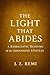 The Light That Abides by J. Z. Remi