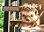 Hadley | Hadley the Hedgehog Loves to Write | Quick Bedtime S... by Nova Gray Hadley | Hadley the Hedgehog Loves to Write | Quick Bedtime S... by Nova Gray