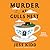 Murder at Gulls Nest (Nora Breen Investigates, #1)
