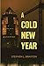 A Cold New Year by Stephen L. Brayton