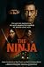 The NINJA: An Original Screenplay (The Brefniverse - Franchise Action Heroes)