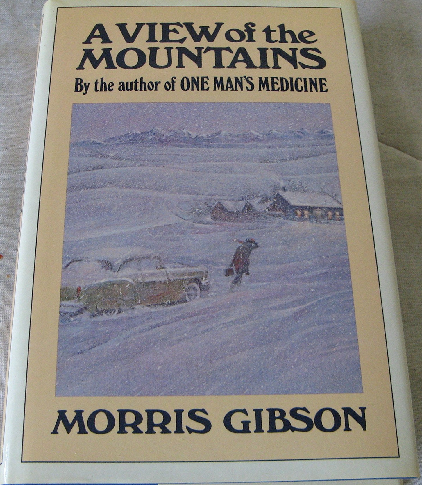 A View of the Mountains