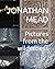 Pictures from the wilderness by Jonathan Mead
