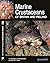 Marine Crustaceans of Britain and Ireland (Wild Nature Press)