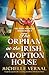 The Orphan at the Irish Adoption House by Michelle Vernal