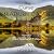 The Curse of Braeburn Castle: A Scottish Castle Murder Mystery