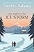 One Night in the Ice Storm (One Night, #2)