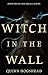Witch in the Wall by Quinn Hogshead