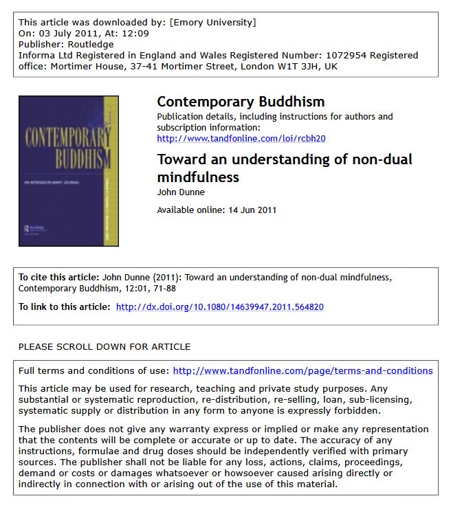 Toward an understanding of non-dual mindfulness (ebook)