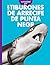 Curiosidad por los tiburones de arrecife de punta negra by Emma Alice Johnson