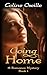 Going Home: A Romance Myste...