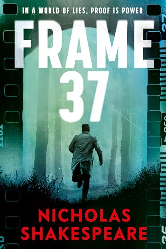 Frame 37 (Paperback)