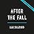 After the Fall by Ian Shapiro