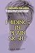 Hiding In Plain Sight: A Memoir