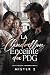 La Cendrillon enceinte du P...