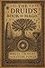 The Druid’s Book of Magic by Lila Bell