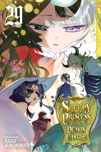 Sleepy Princess in the Demon Castle, Vol. 29 (Paperback)