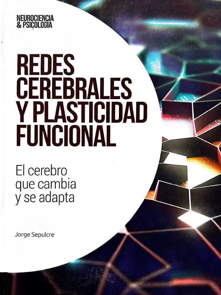 Redes cerebrales y plasticidad funcional