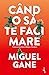 Când o să te faci mare by Miguel Gane